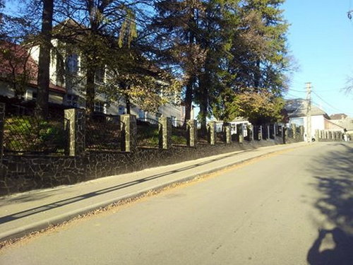 Poarta pe sina si panouri de gard pentru Liceul Tehnologic din Targu Lapus